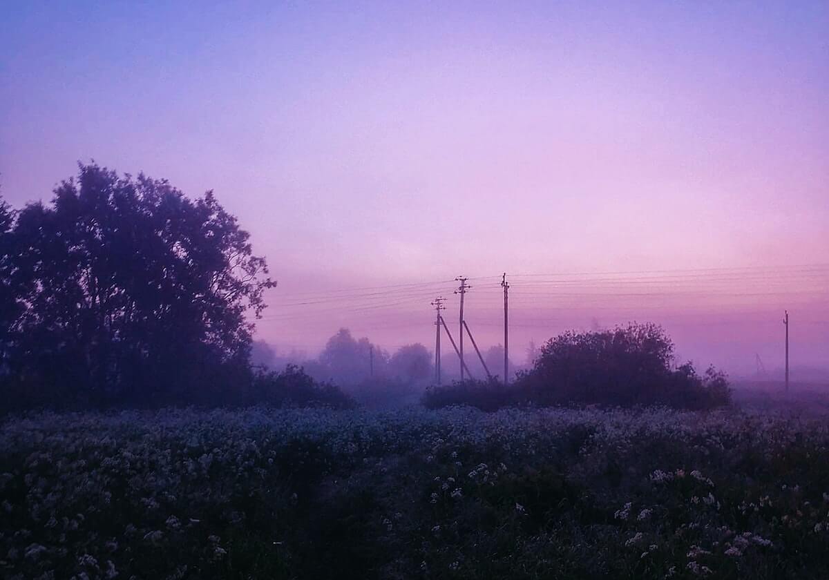 九游官网主页：进入游戏世界的第一站，畅享海量资源与社区互动